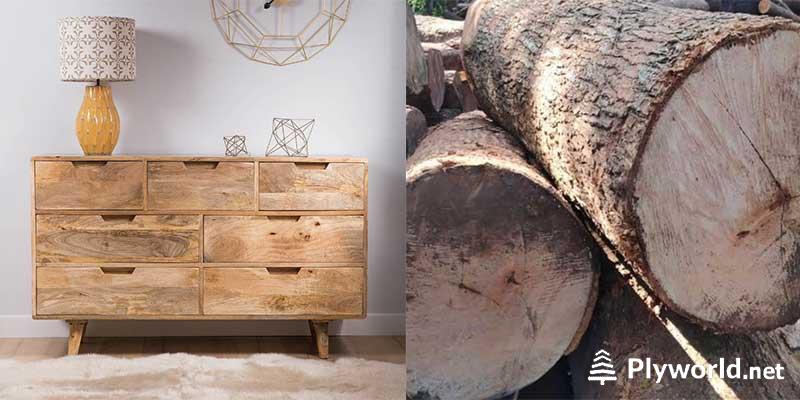 Todo lo que Necesitas Saber sobre la Madera de Mango 5 usos-madera-mango